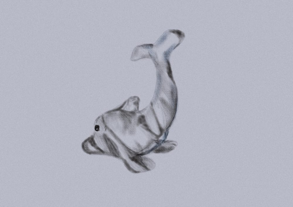 Class Submissions - image 3 - student project