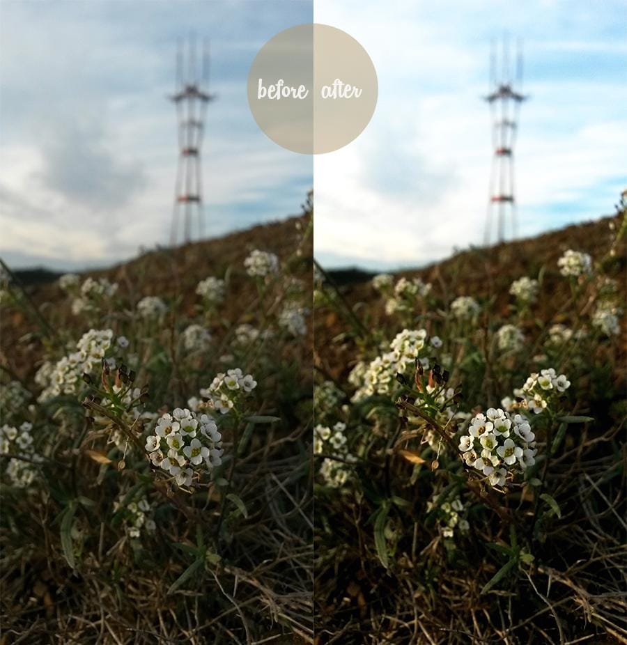 Some of the best walks - image 1 - student project