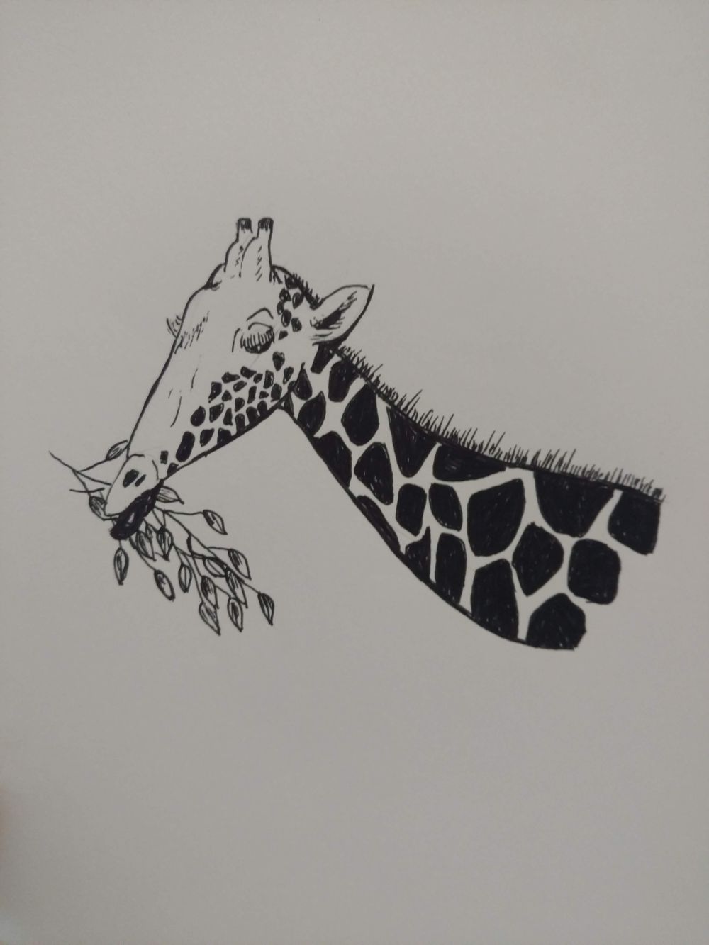 Awesome Class - image 2 - student project