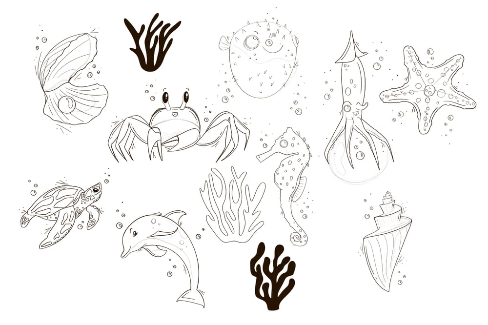Creatures of the Sea - image 3 - student project