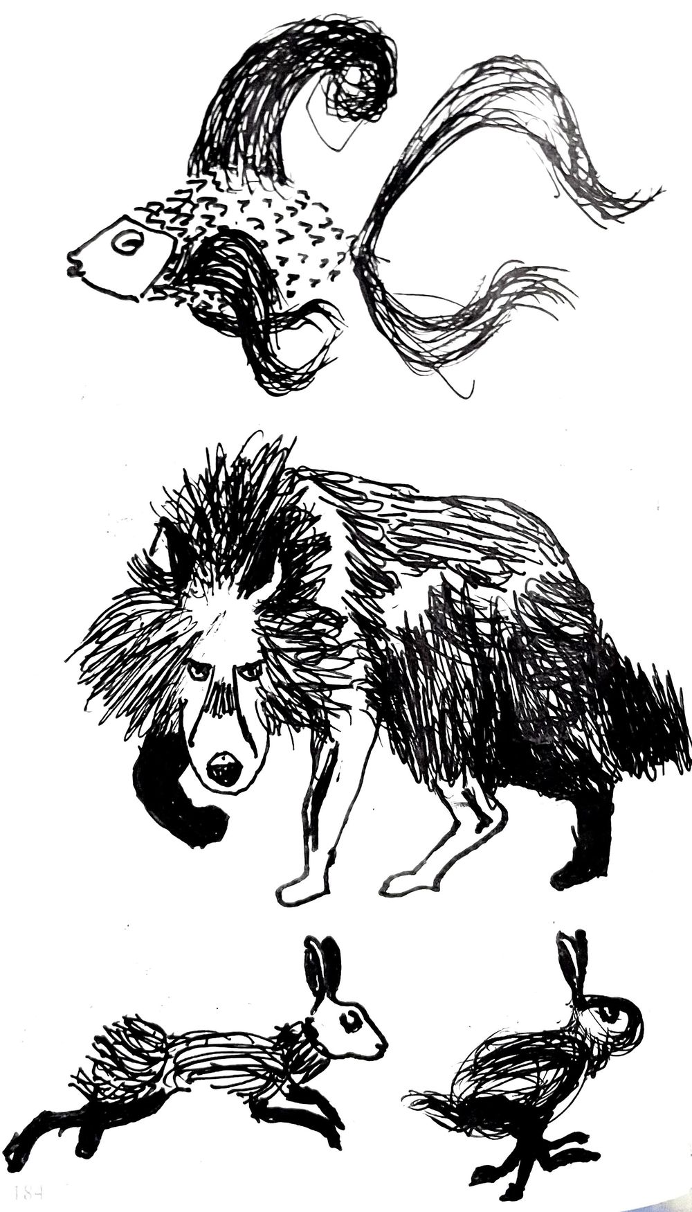 Animal illustrations - image 4 - student project