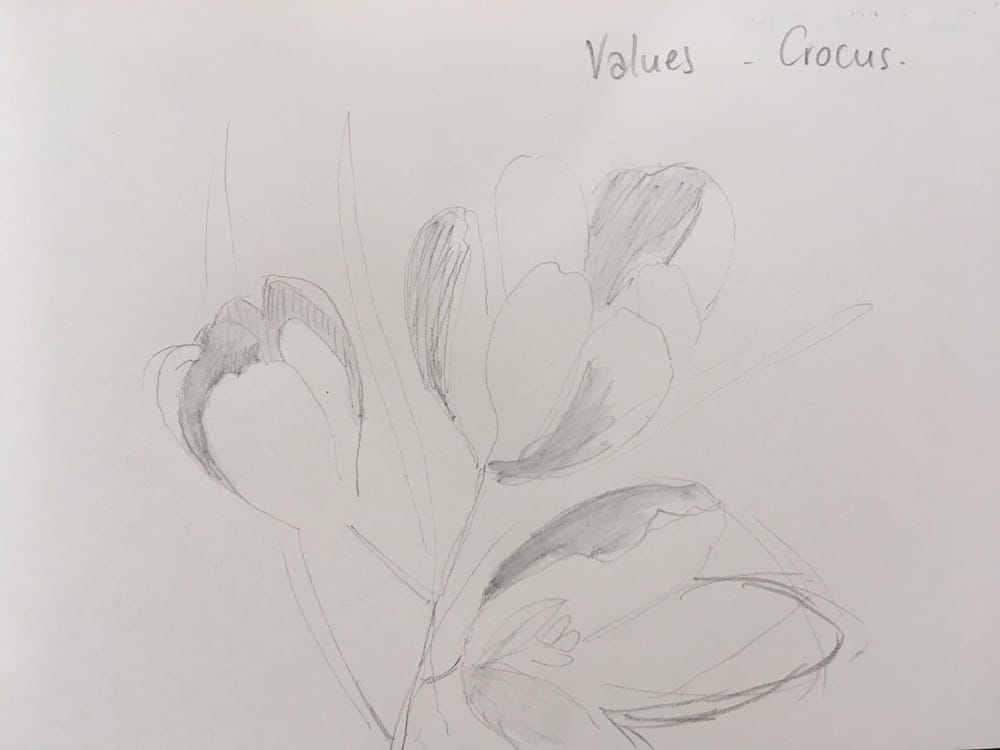 Meditative sunday in Paris - image 4 - student project