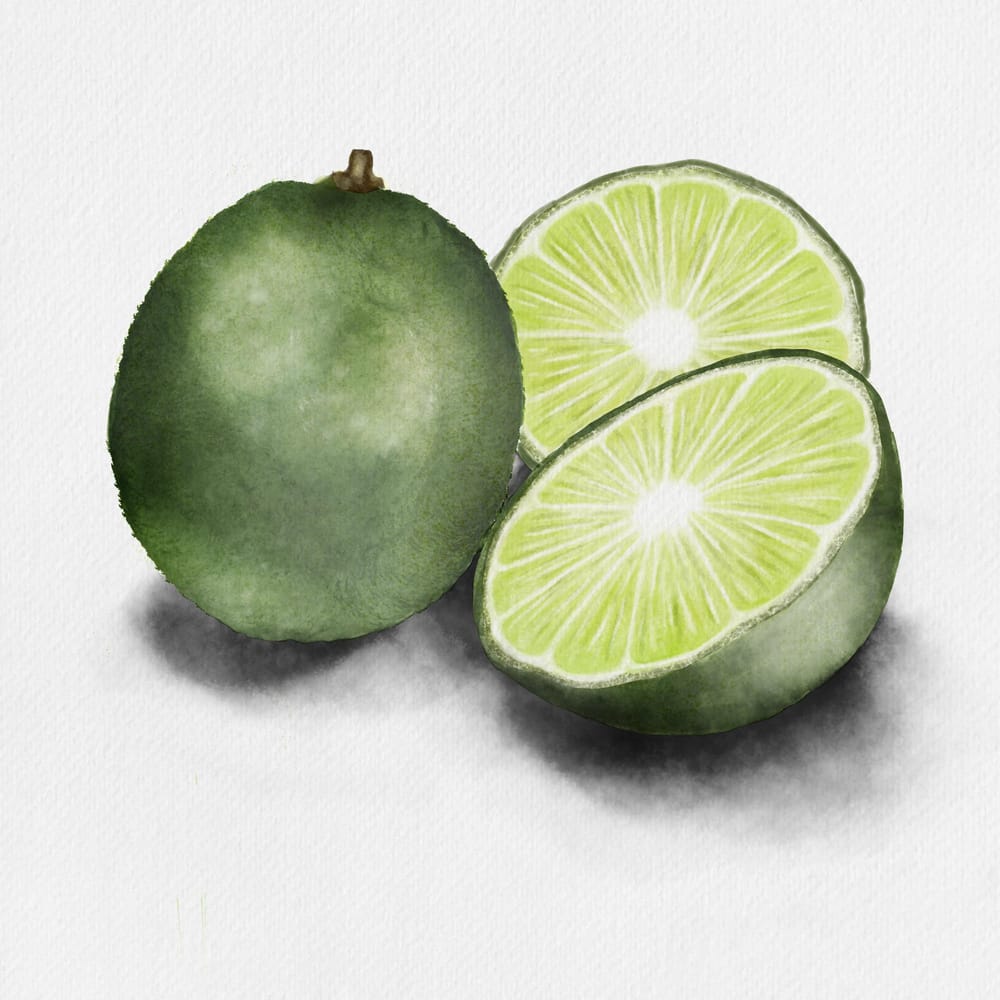Citrus Study - image 3 - student project