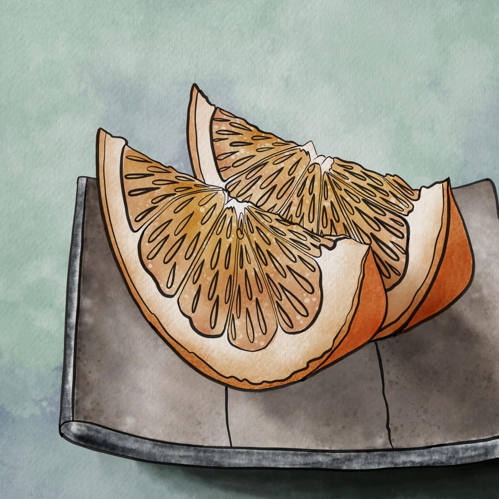 Citrus Study - image 1 - student project