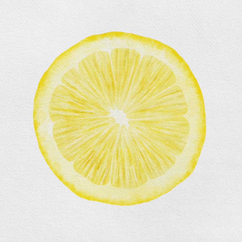 Citrus Study - image 2 - student project