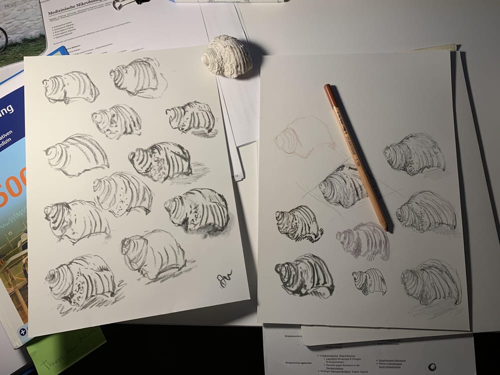 Searching for my line... great course Jen! Looking towards your bootcamps! :D - image 4 - student project