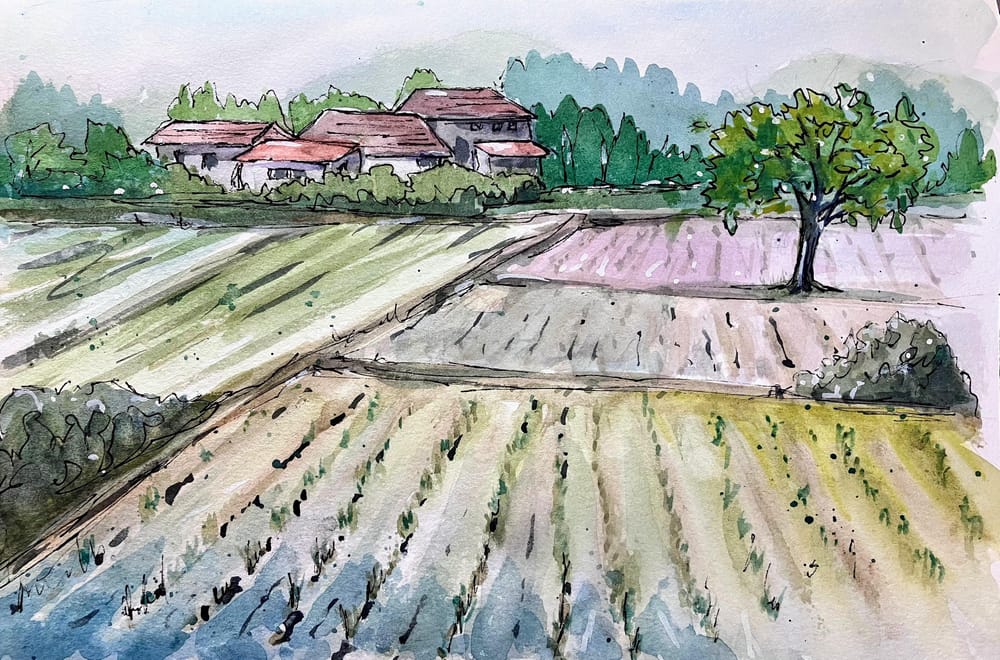 Monsoon Fields - image 2 - student project