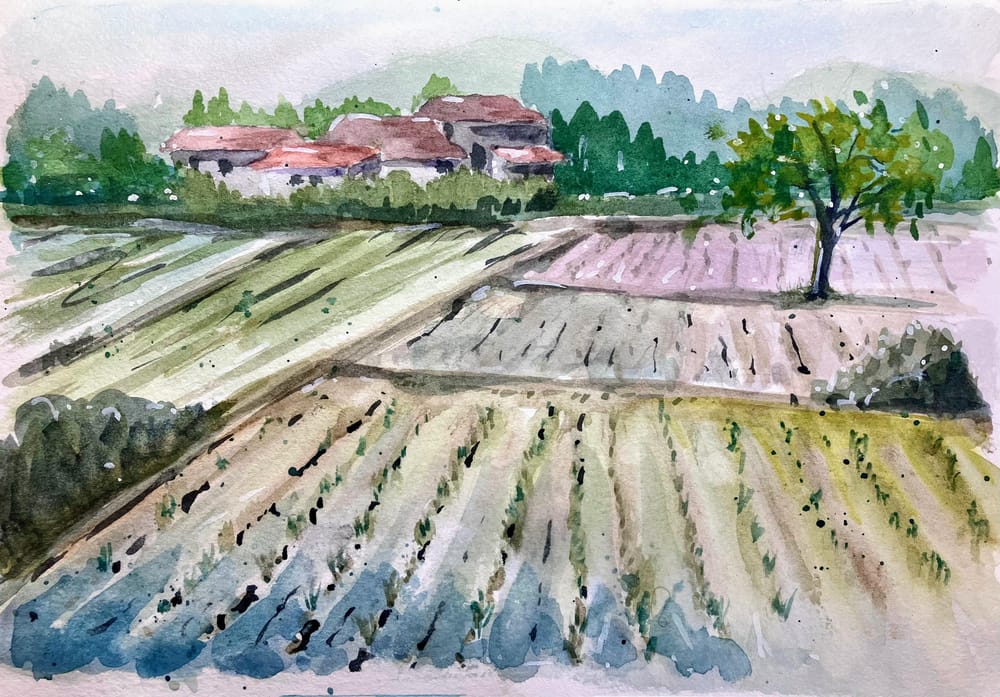 Monsoon Fields - image 1 - student project