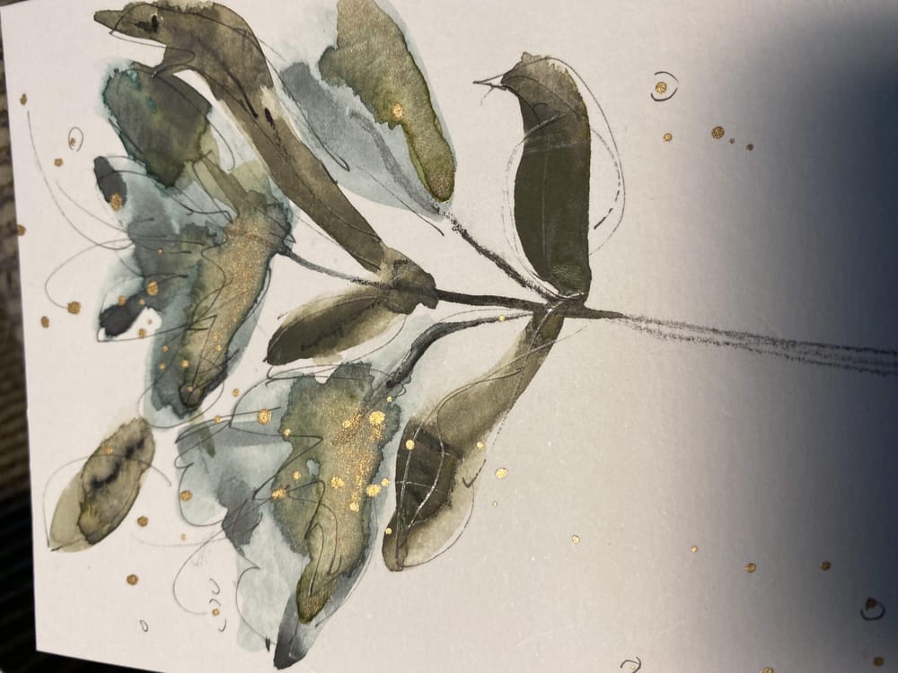 Milkweed abstracts and others - image 2 - student project