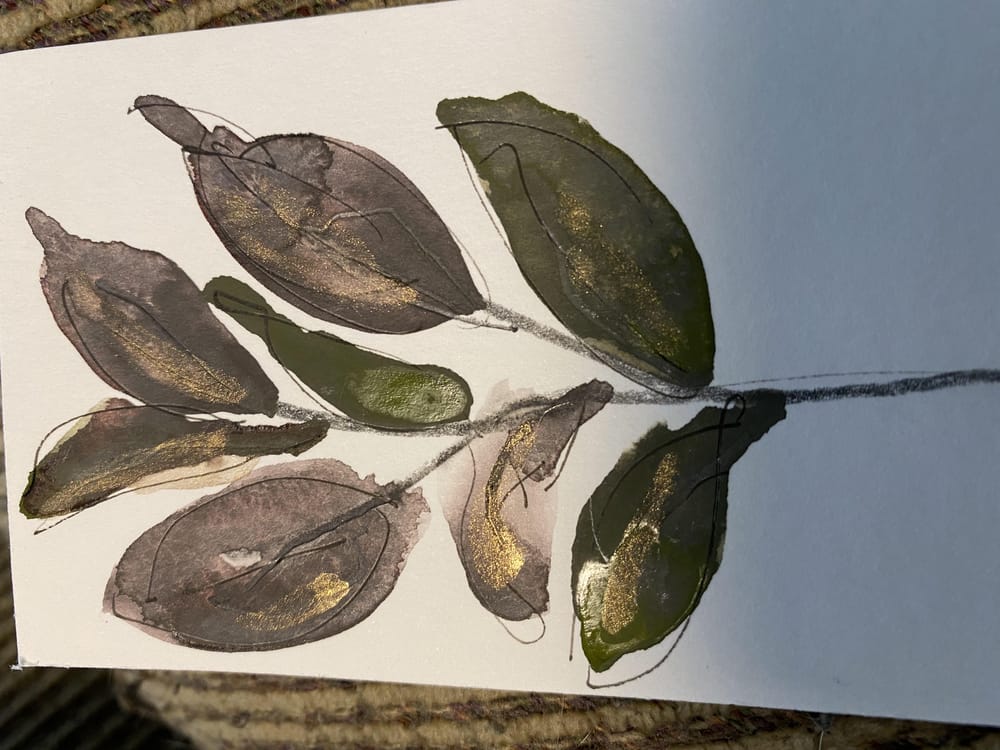 Milkweed abstracts and others - image 3 - student project