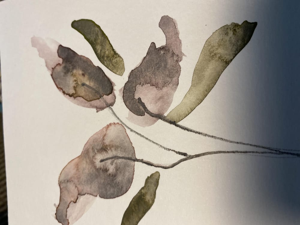 Milkweed abstracts and others - image 1 - student project