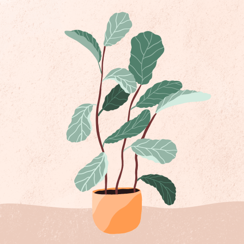 Plant Illustrations - image 3 - student project