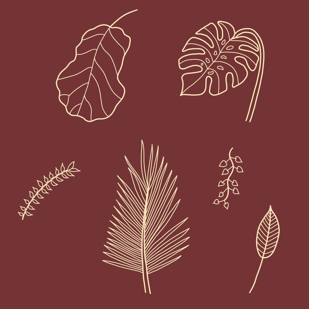 Plant Illustrations - image 4 - student project