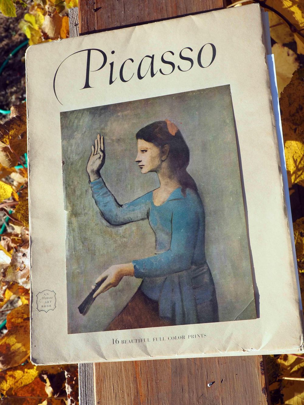 Picasso color studies, prepping for painting - image 6 - student project