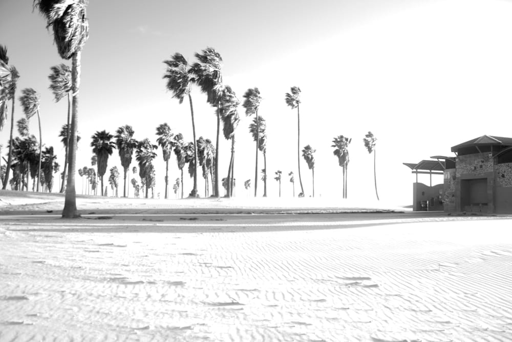 Only Human (B&W) - image 3 - student project