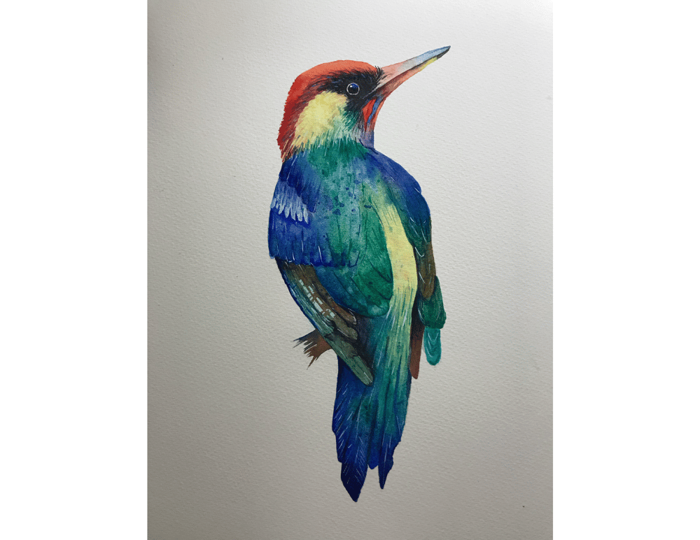 Colourful woodpecker - image 1 - student project