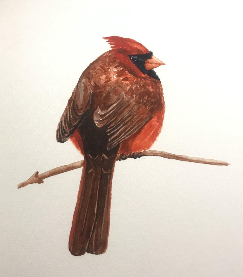 Songbirds - image 2 - student project