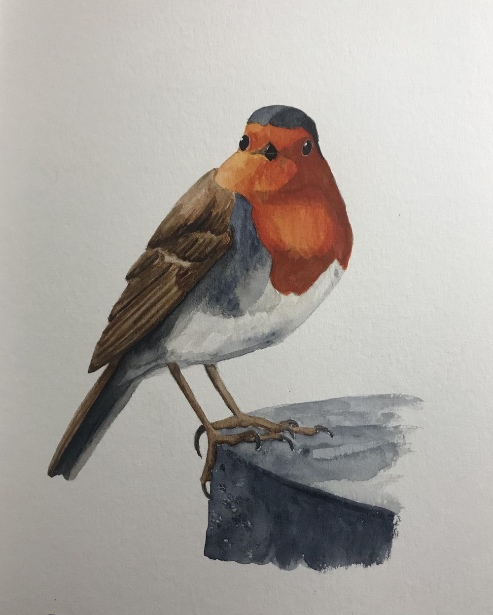 Songbirds - image 1 - student project