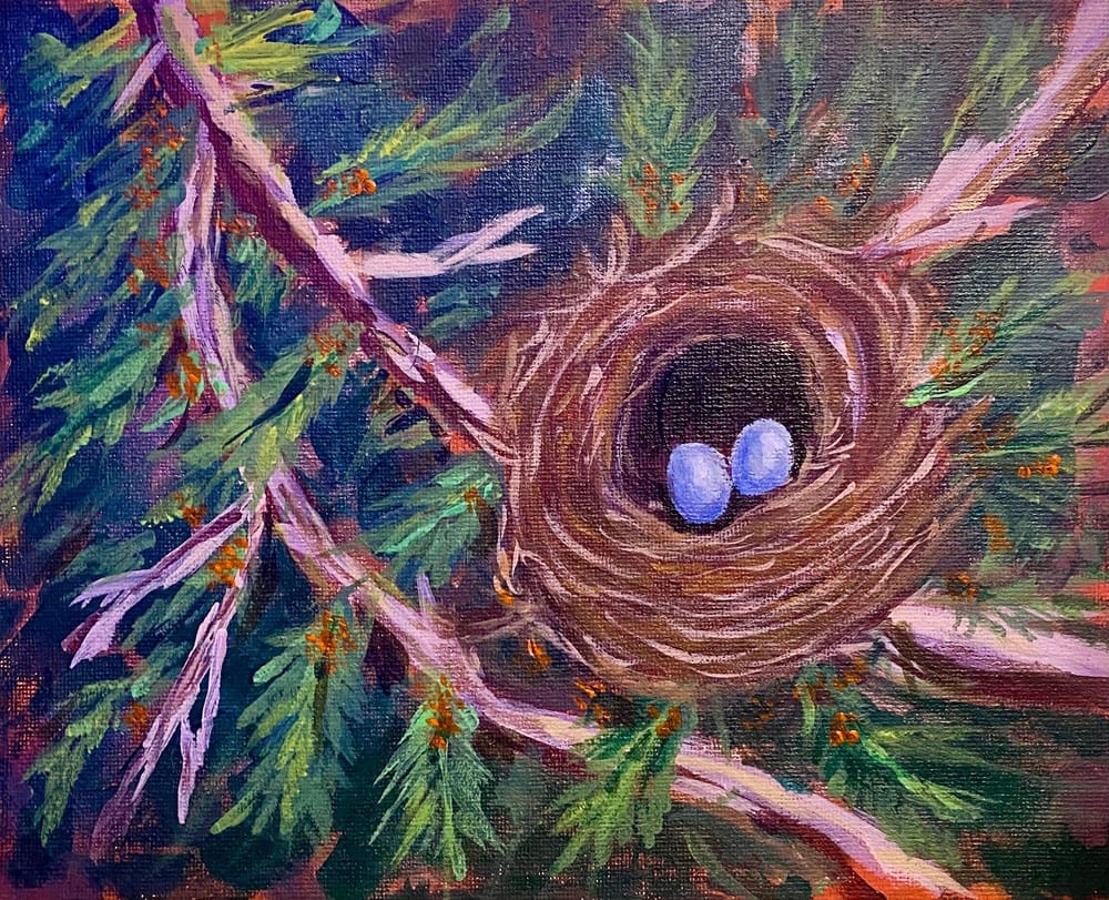 Bird's nest - image 2 - student project