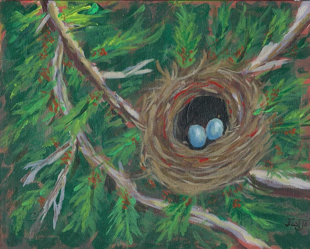 Bird's nest - image 1 - student project