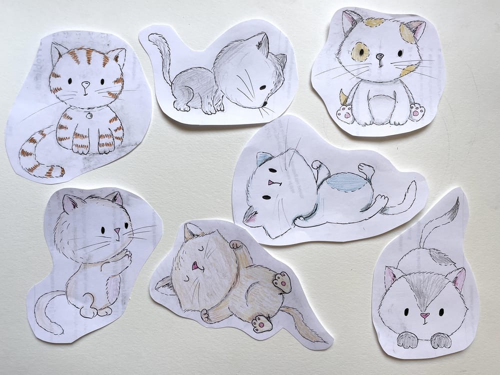 Cute cats - image 1 - student project