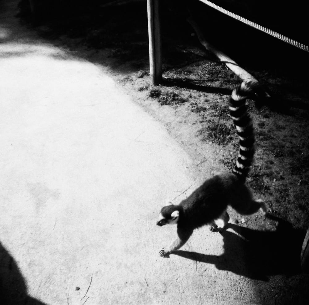 Everyday is a getting closer - image 2 - student project