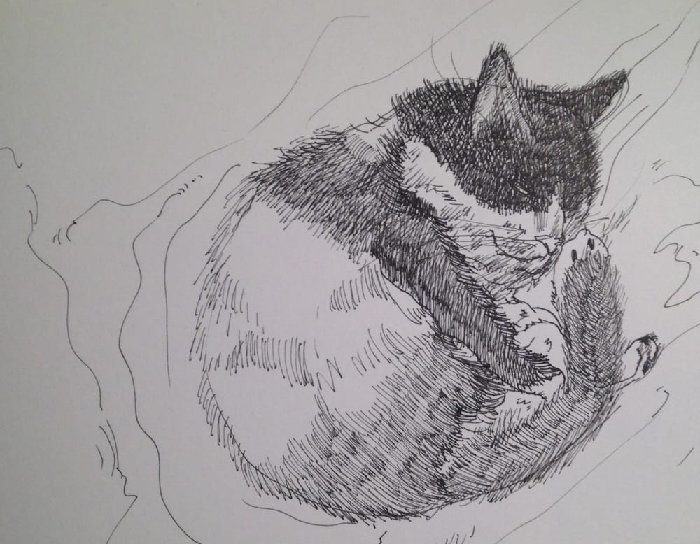 Day one - image 1 - student project