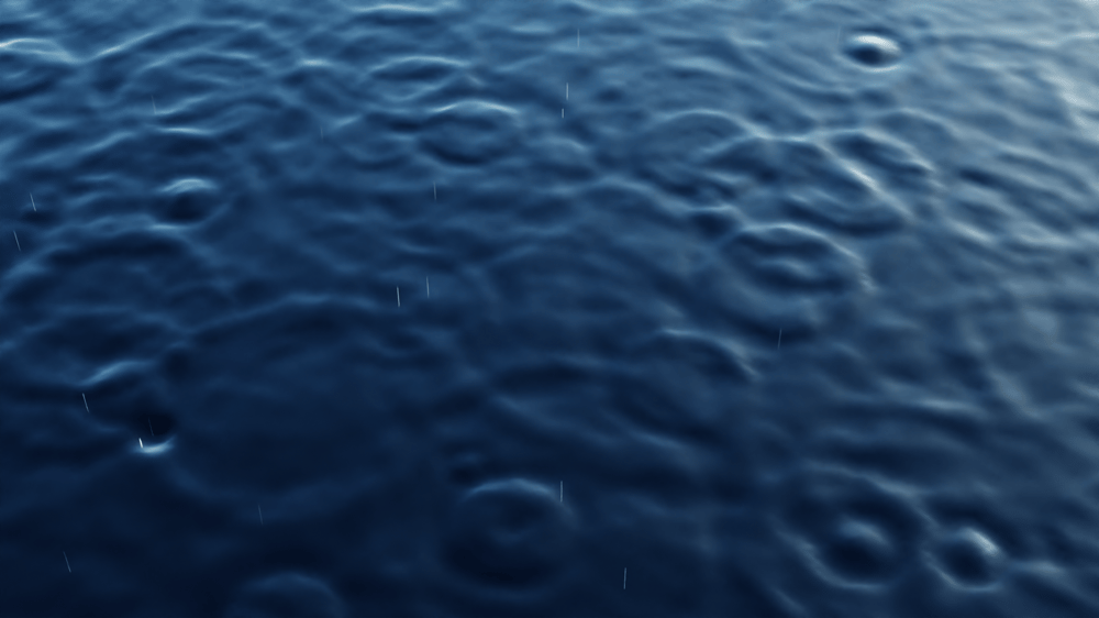 wow! thank you! - image 3 - student project