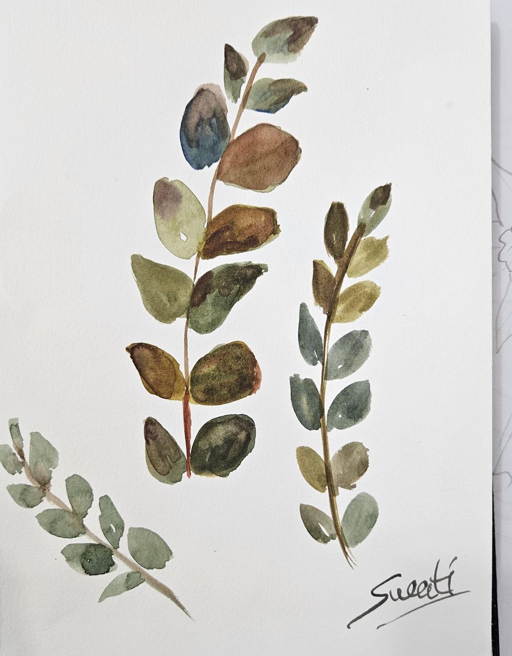 Botanical from live references - image 3 - student project