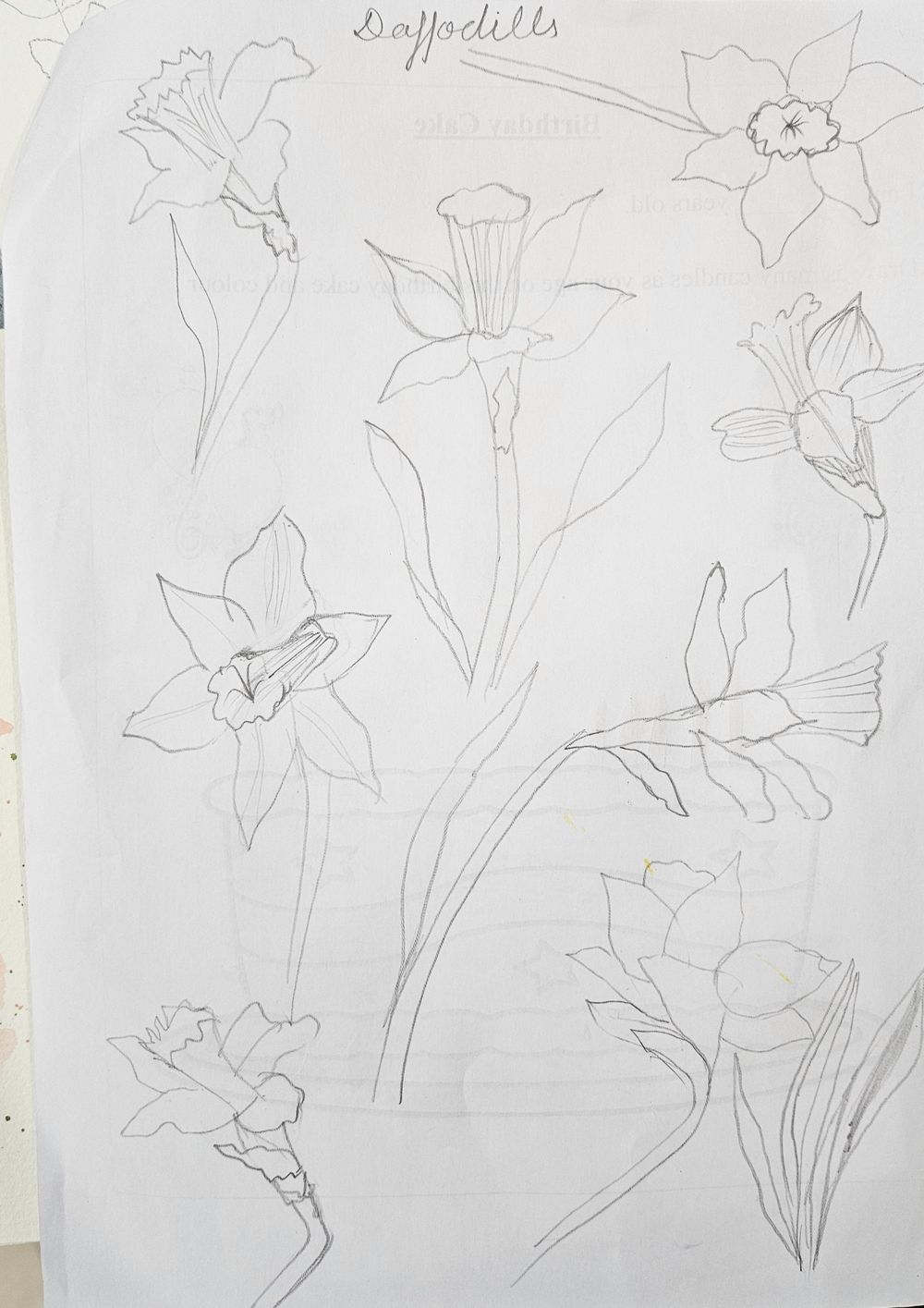 Botanical from live references - image 5 - student project