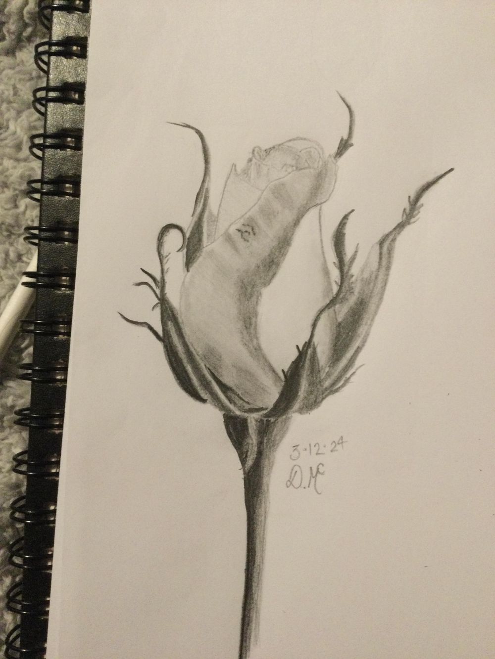 Rose - image 1 - student project