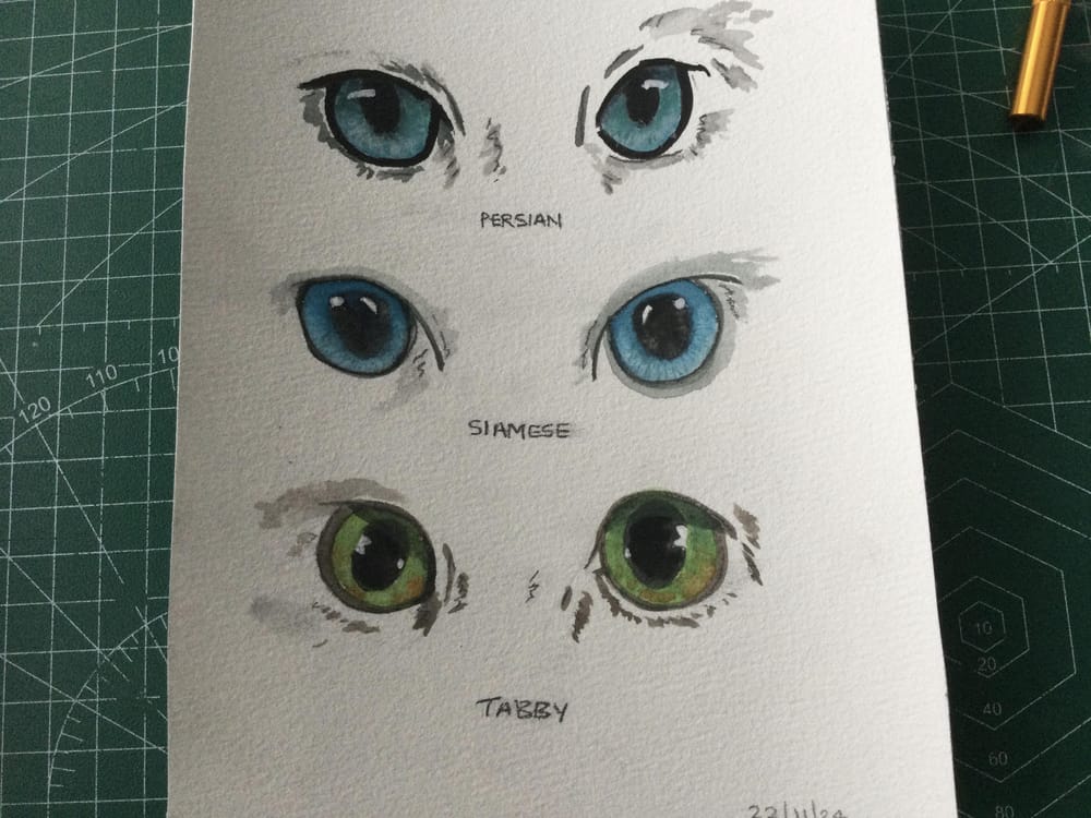 Eye’ve finished! - image 1 - student project