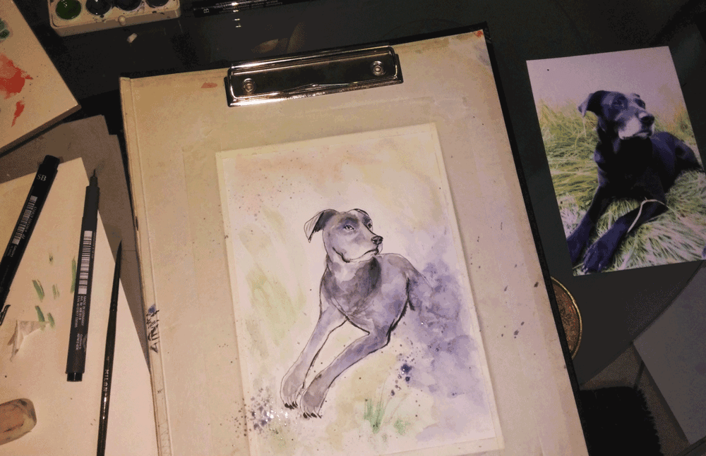 For my dog's 14th birthday - image 1 - student project
