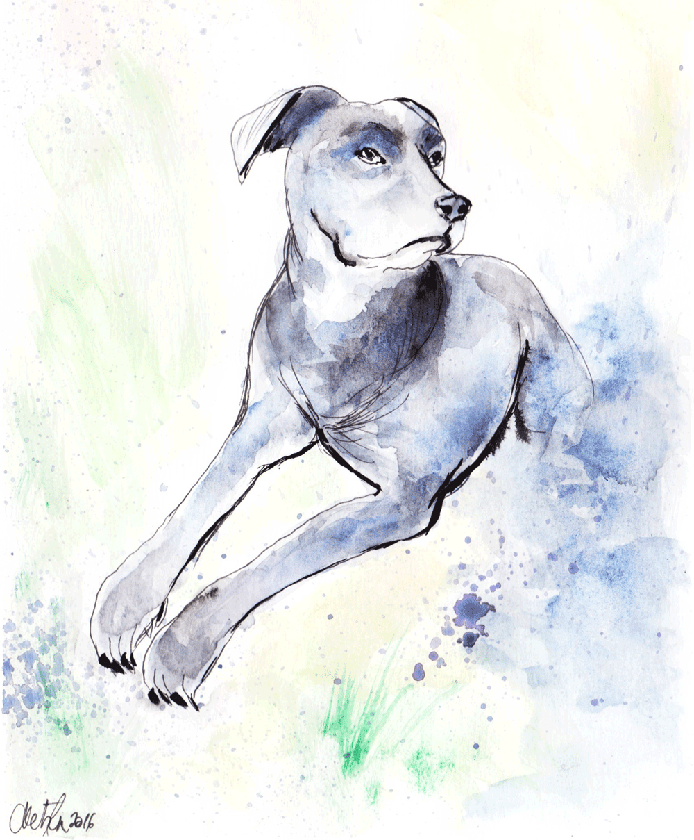 For my dog's 14th birthday - image 2 - student project