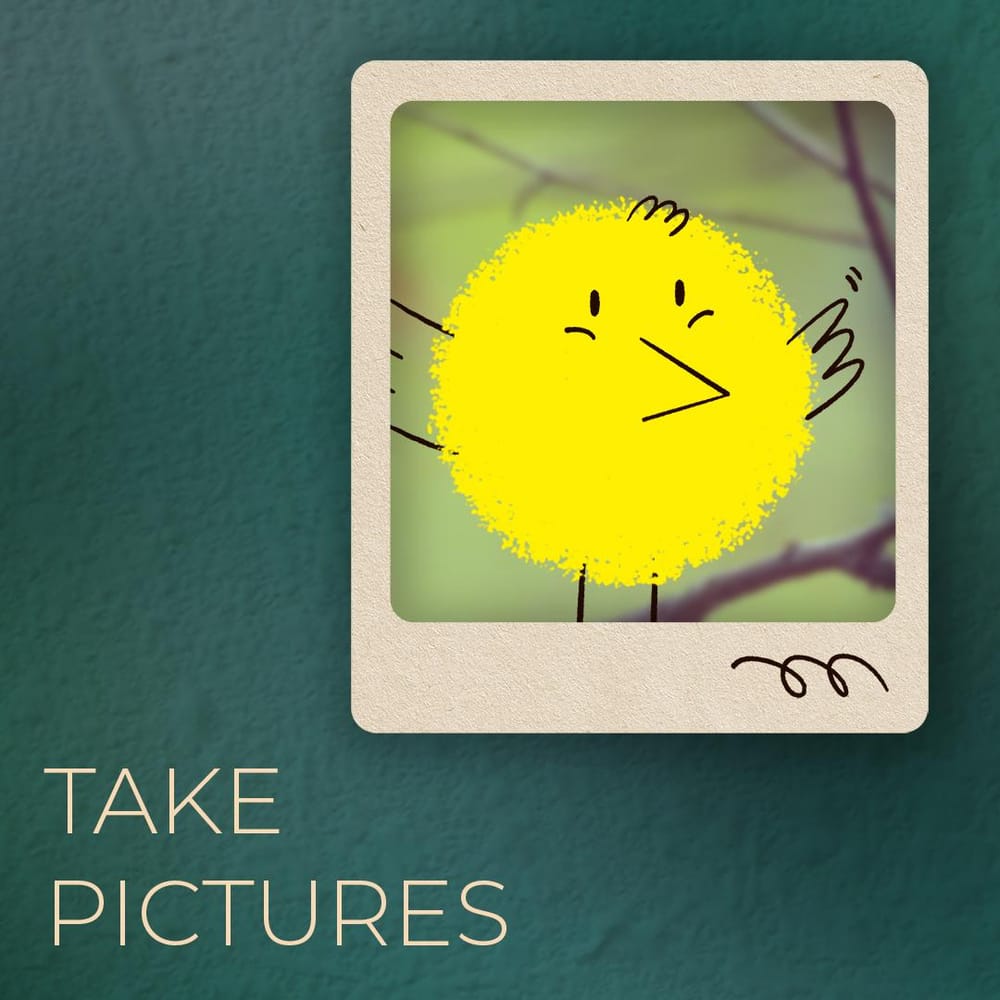 Brand Illustration:  bird watching app - image 4 - student project