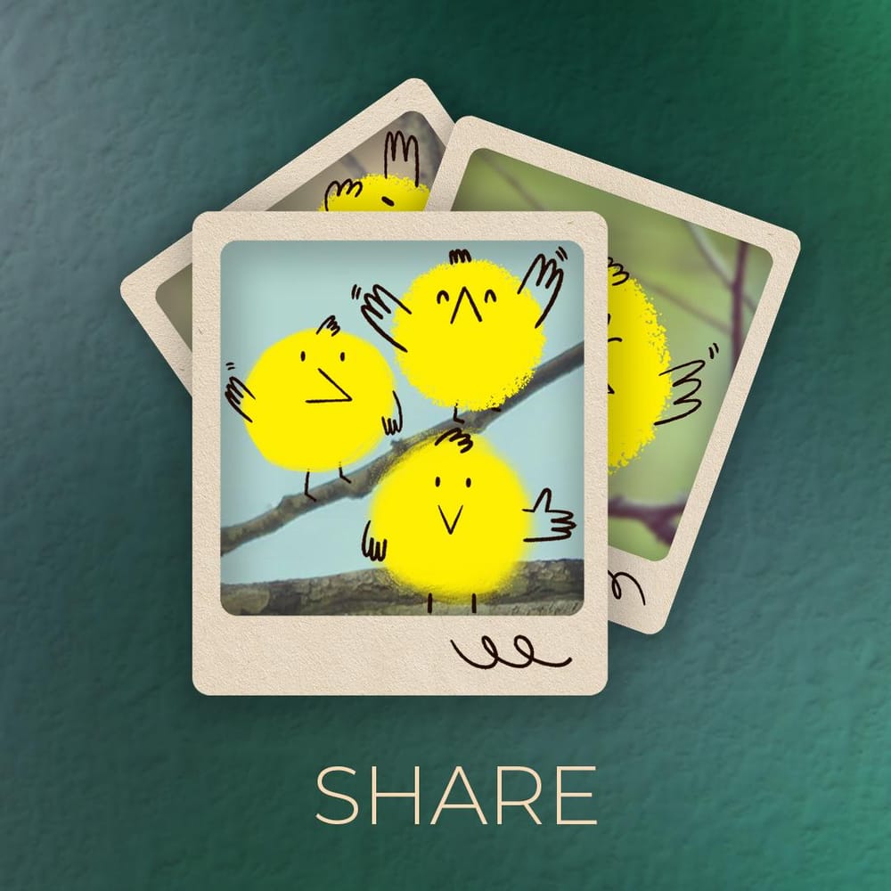 Brand Illustration:  bird watching app - image 6 - student project