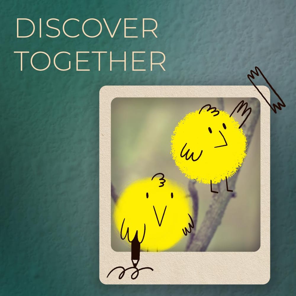 Brand Illustration:  bird watching app - image 5 - student project