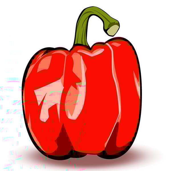 Red Bell Pepper Using pen tool - image 2 - student project