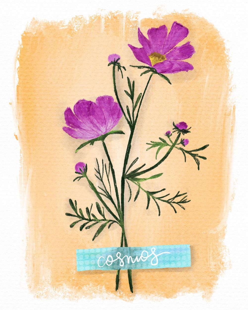 Cosmos - image 1 - student project