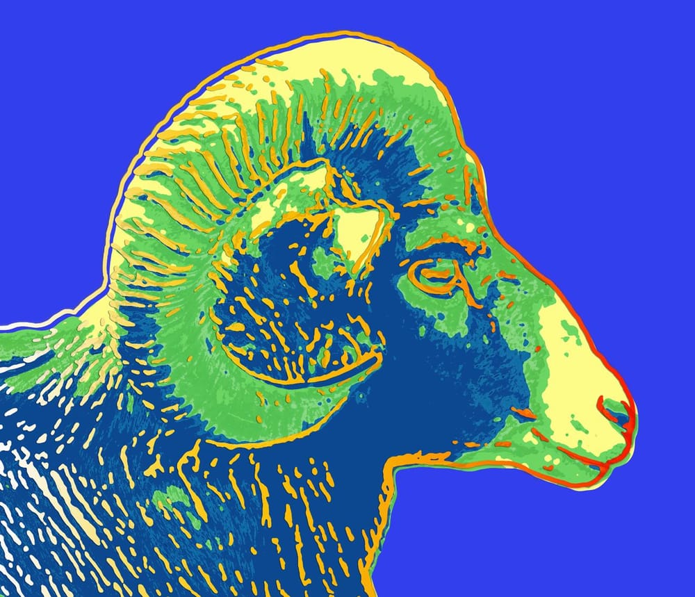 Warhol for Lunch - image 1 - student project
