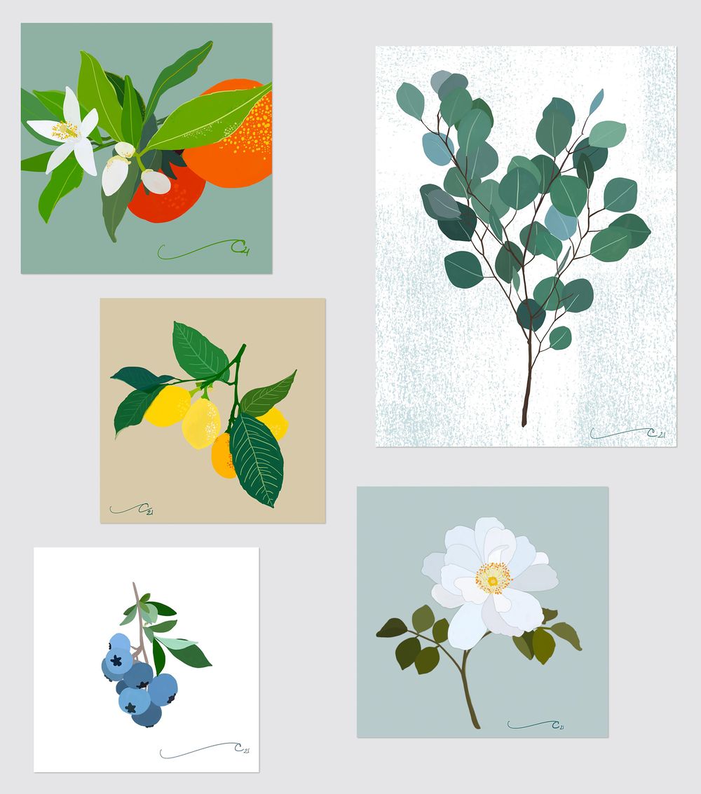 Gouache Project - image 1 - student project