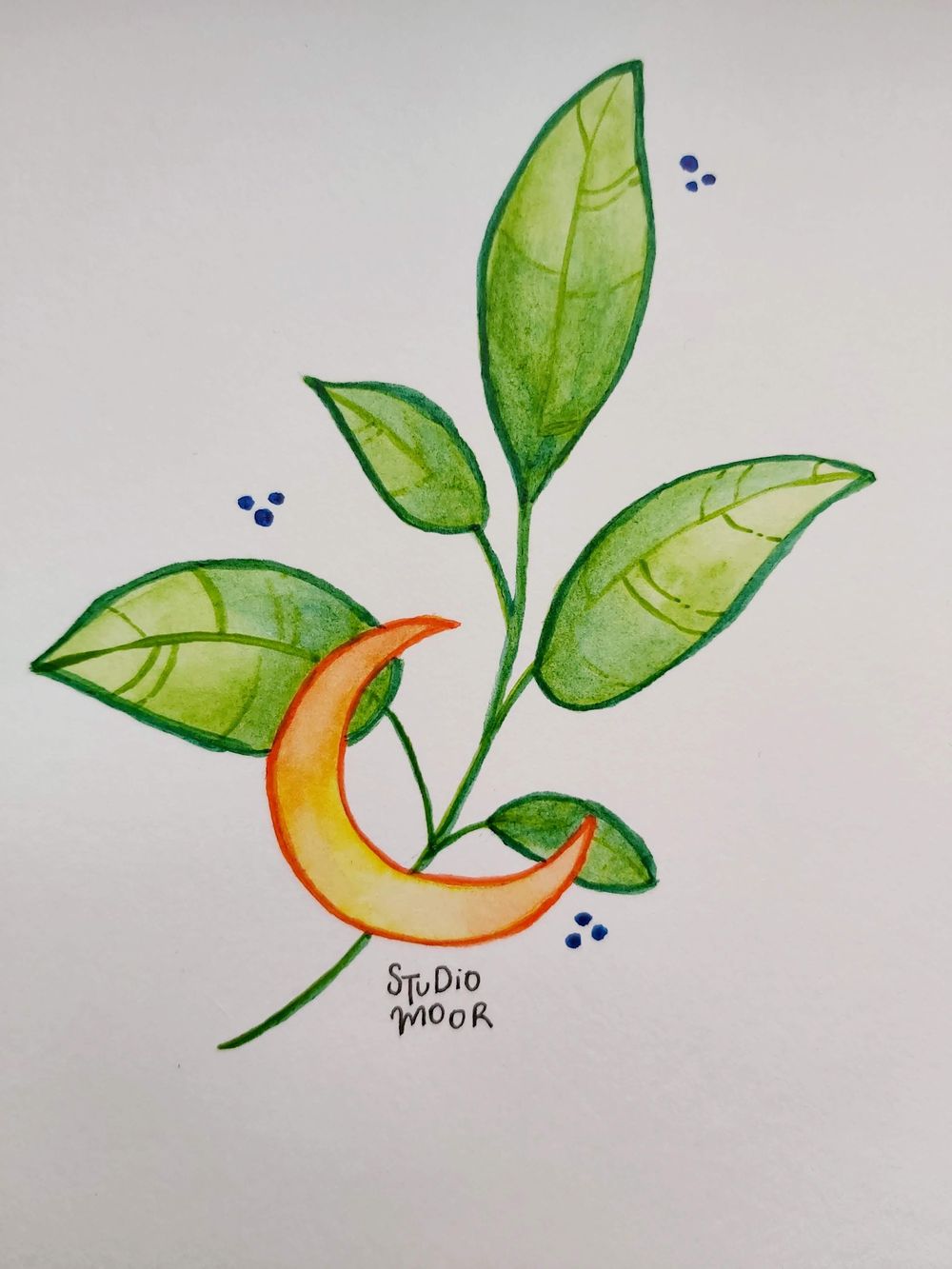 Crescent Moon - image 1 - student project