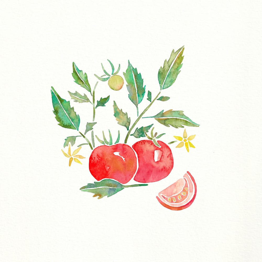 Fruits and Florals - image 3 - student project