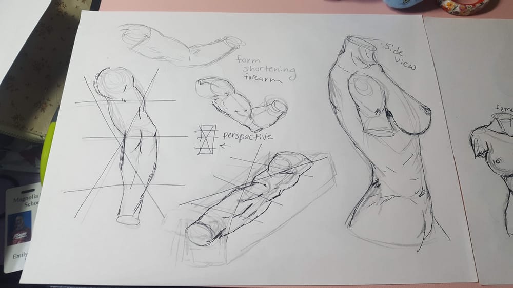 Figure Drawing - image 2 - student project