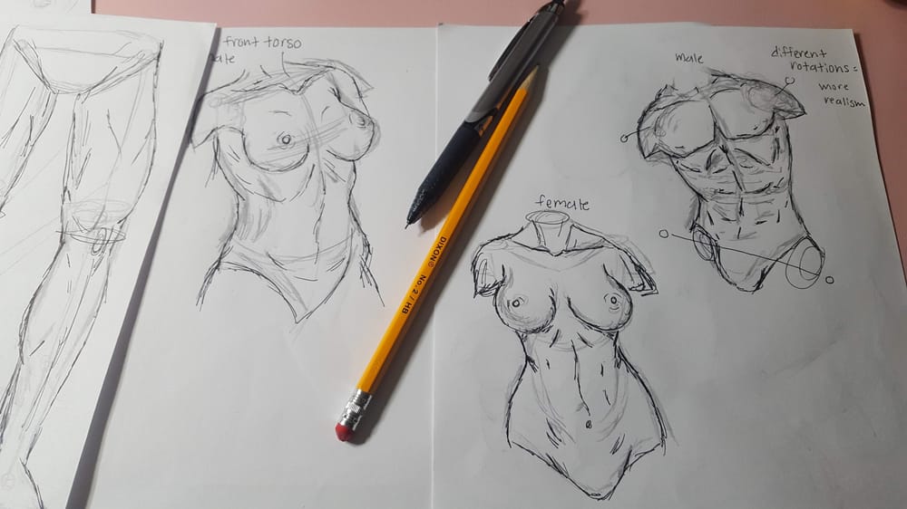 Figure Drawing - image 1 - student project