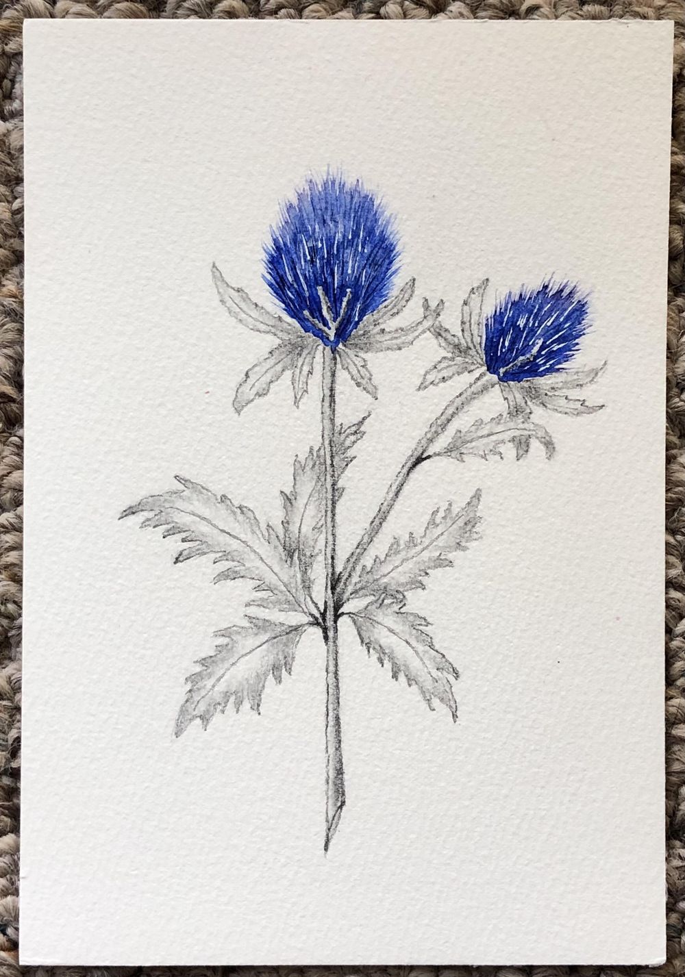 Graphite and watercolor - image 4 - student project