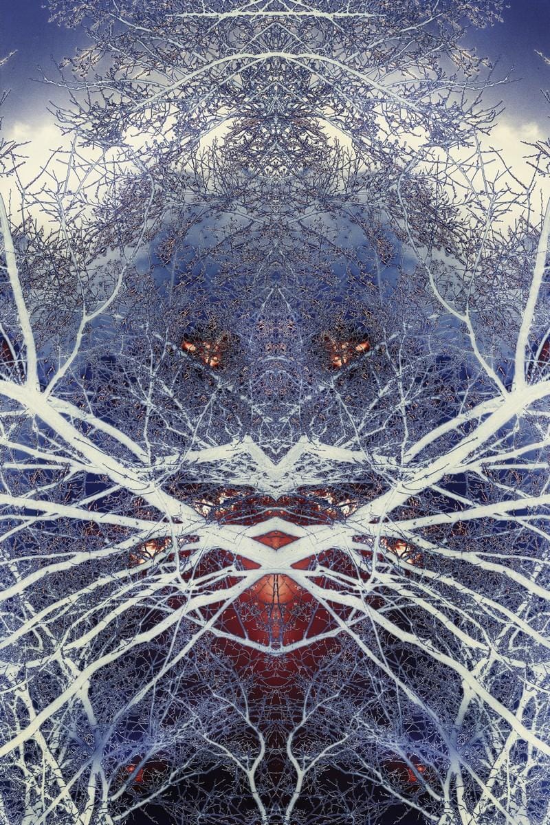 Ice Monster - image 2 - student project