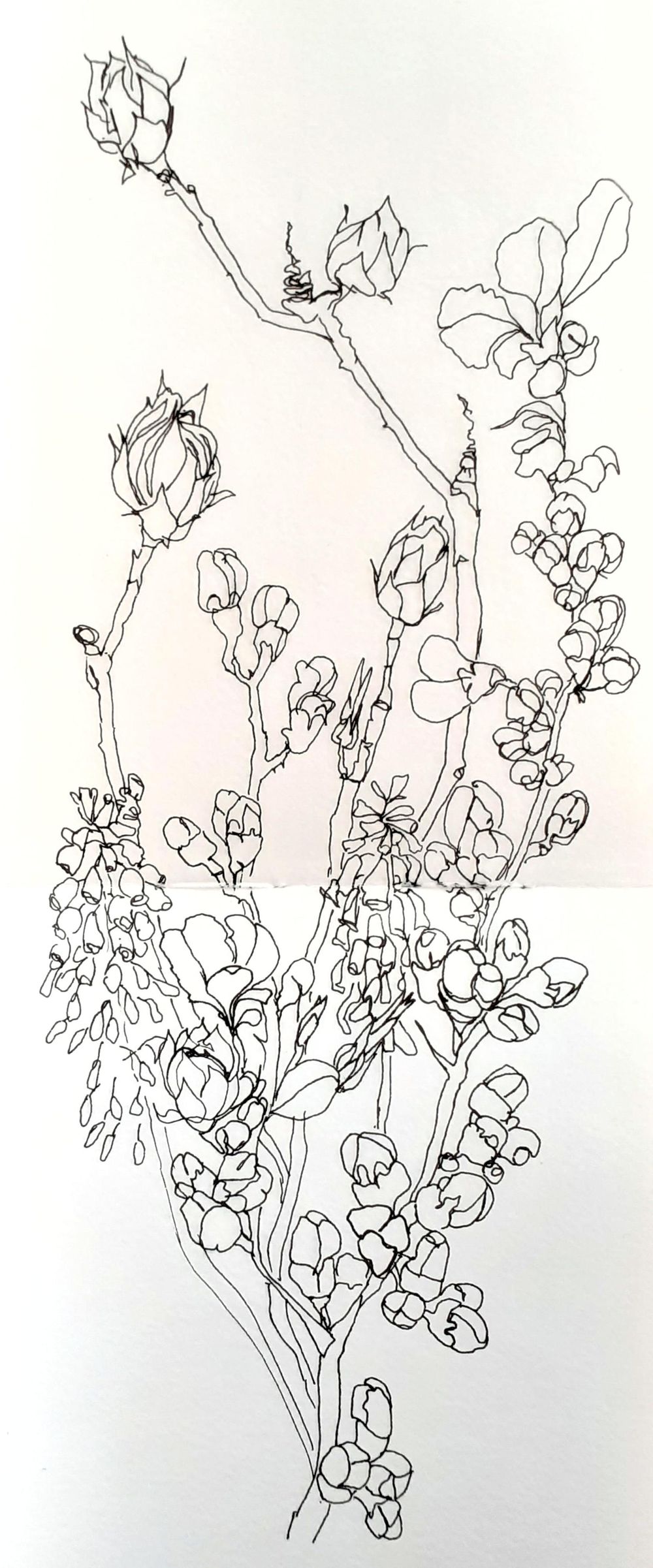 Happy lines - image 2 - student project