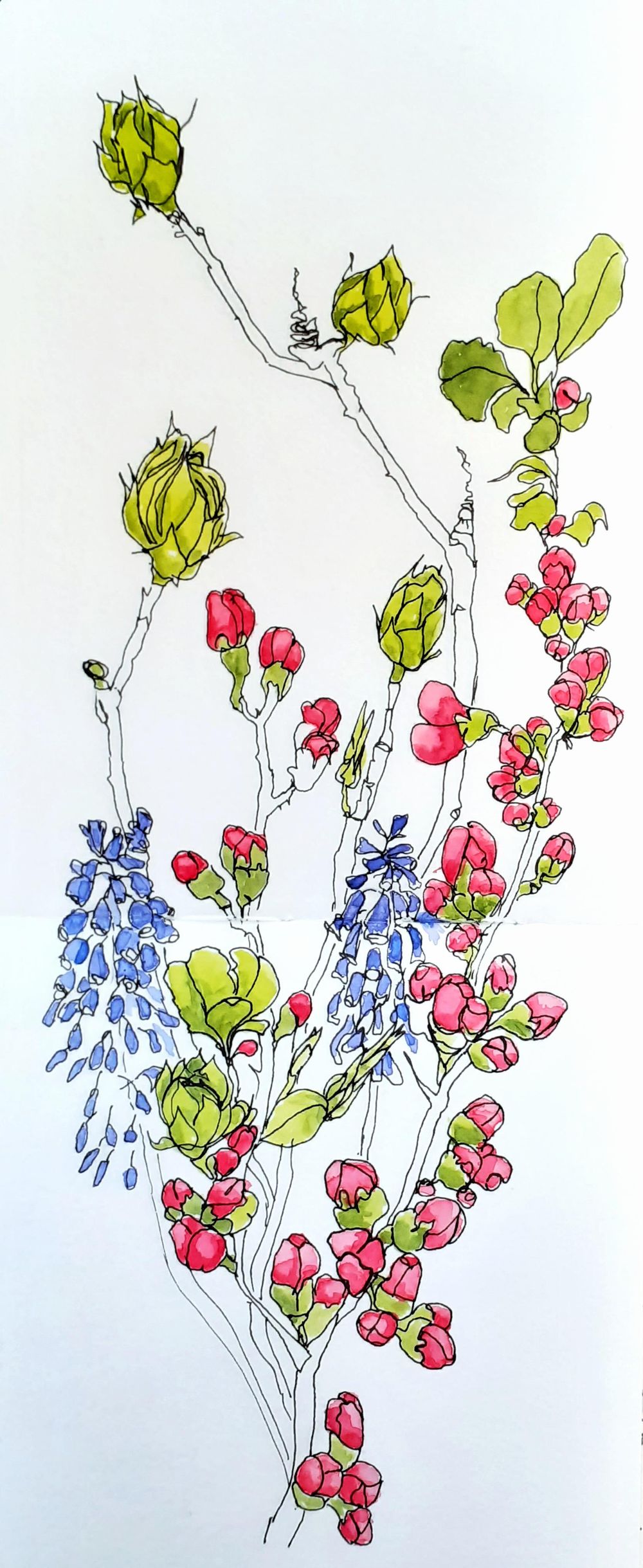 Happy lines - image 3 - student project