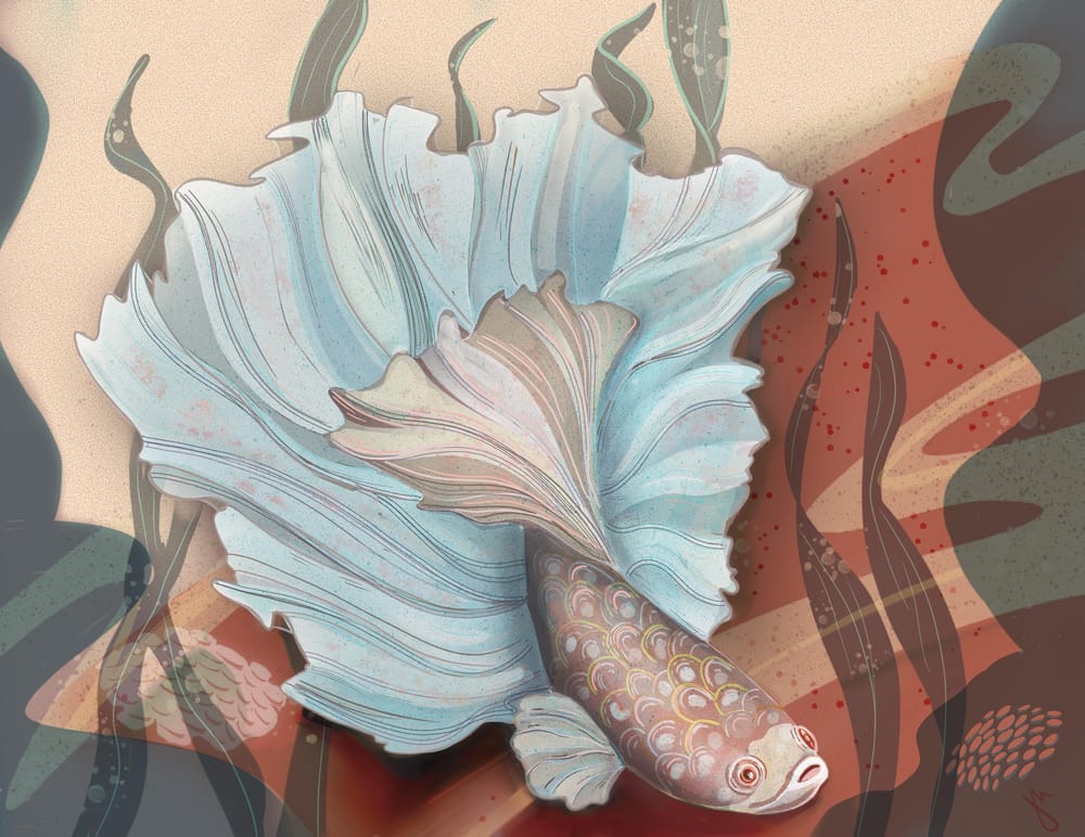 Fishy Fishy Fish - image 2 - student project